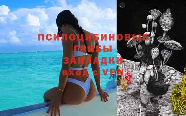 мескалин Гатчина