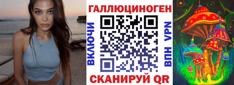 блэк спрут ССЫЛКА  Кириллов  Галлюциногенные грибы Psilocybe 
